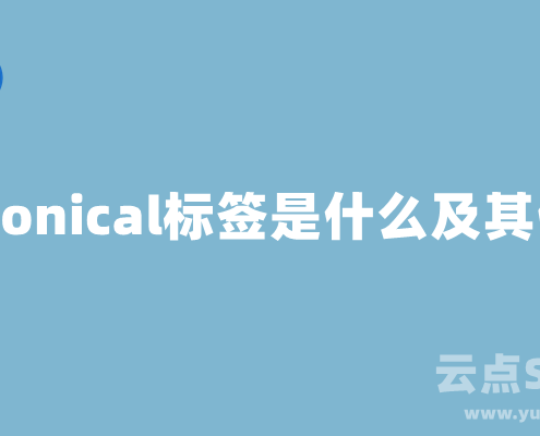 Canonical标签是什么及其在SEO中的作用