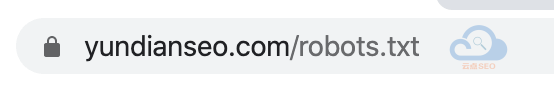 云点SEO网站的robots文件地址