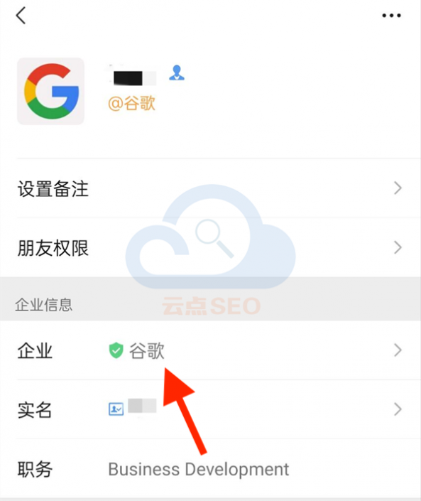 Google Partners 谷歌官方合作伙伴详细信息 - 云点SEO