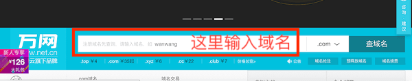在搜索框中输入域名名称